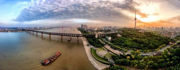 1575807995159217.jpeg 31.1.jpeg