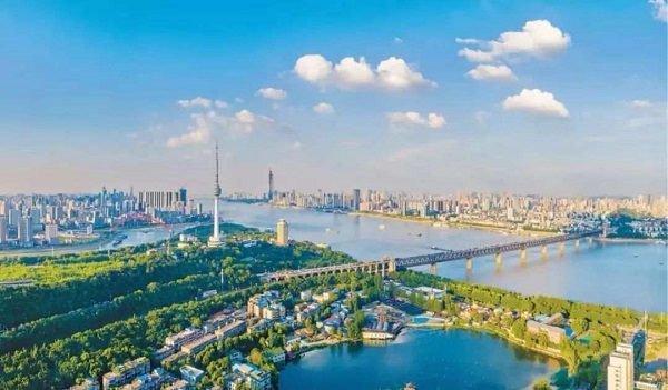 1575808018651156.jpeg 31.2.jpeg