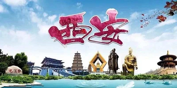 1575944363591213.jpeg 8.jpeg