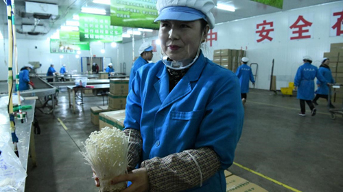 1576396522882495.jpg 43.6.jpg