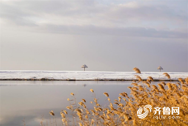 1576452416499168.png 7.3.png