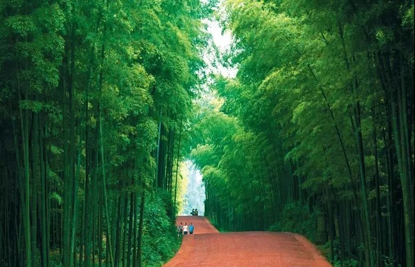 1576499069194546.jpg 12.8.jpg