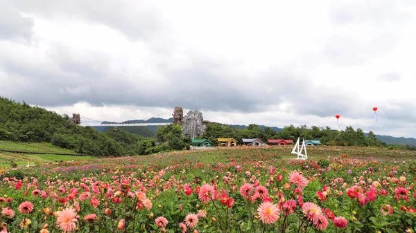 1576499122345846.jpg 12.12.jpg