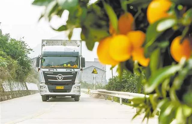 1576501647956252.jpg 16.1.jpg