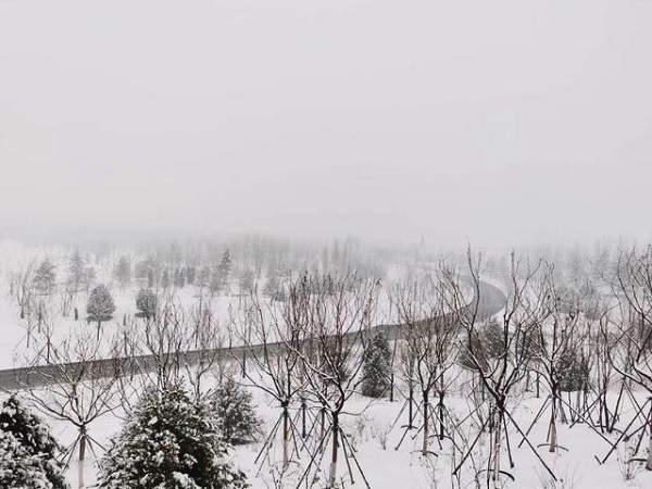 1576556431114817.jpeg 7.1.jpeg