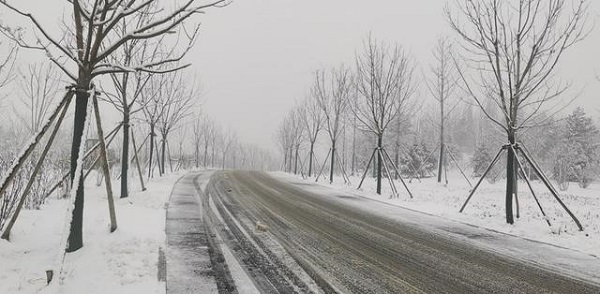 1576556438642034.jpeg 7.2.jpeg