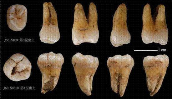 1586343206430360.jpg a8e0-irtymmw8047774.jpg