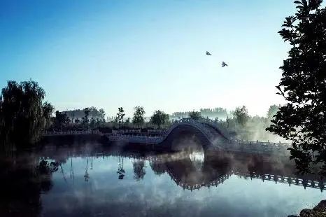 1587457436585920.jpg 2.jpg