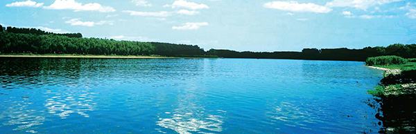 1591598595172944.jpg 13.4.jpg