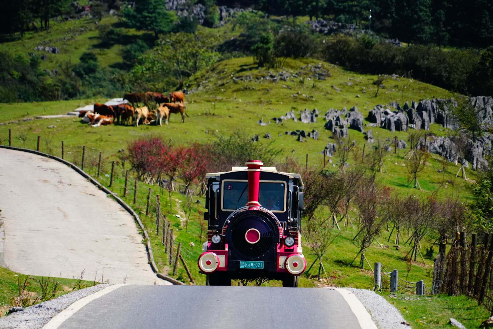 1598803792604284.jpg?x-oss-process=style/w10 1598803792604284.jpg?x-oss-process=style/w10